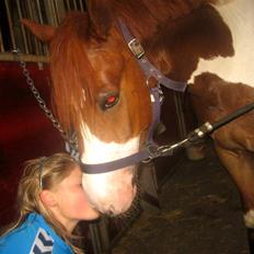 Anden særlig race Little sky (Solgt)