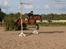 Holstener Pebbles Flyttet. miss you - Spring med Mia