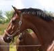 Holstener Pebbles Flyttet. miss you