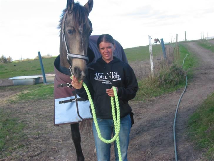 Anden særlig race Valentino billede 7