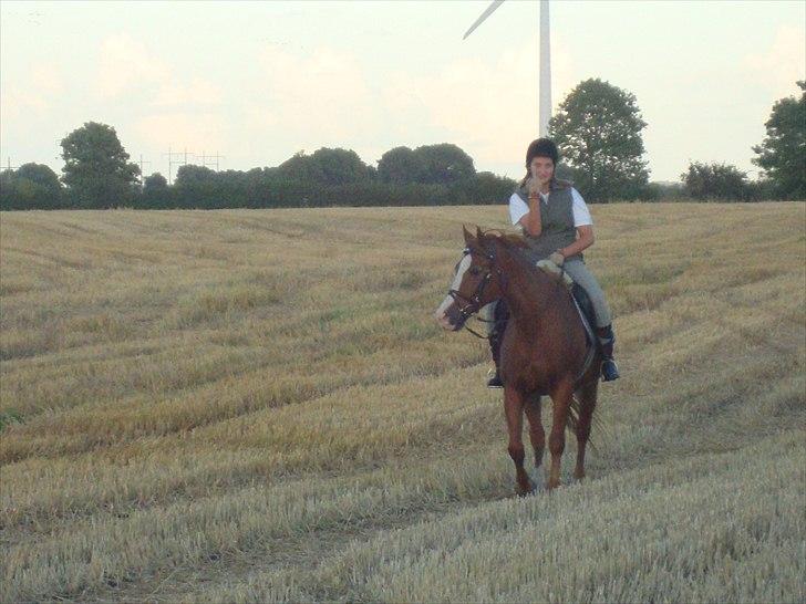 Anden særlig race Ponto *R.I.P* - Ponto :-) .. foto: mathilde Simonsen billede 8