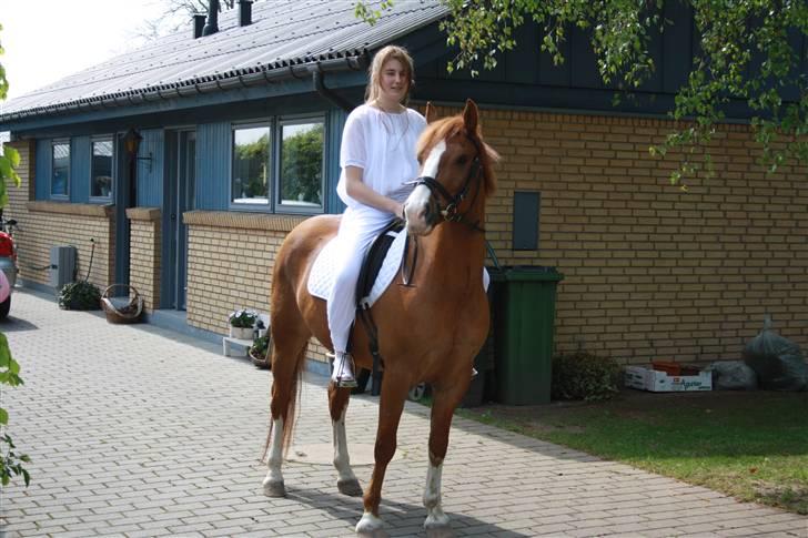 Anden særlig race Zafir <3 Ikke min mere :( - Tøsen til min Konfirmation billede 2