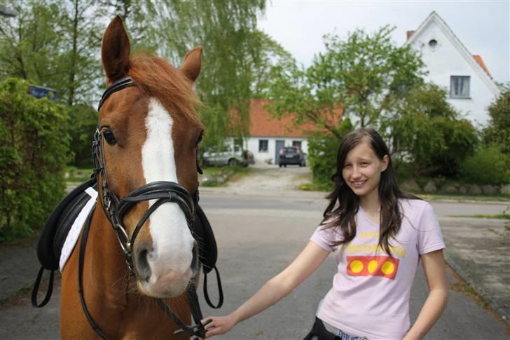 Anden særlig race Zafir <3 Ikke min mere :( - Haha billede 4