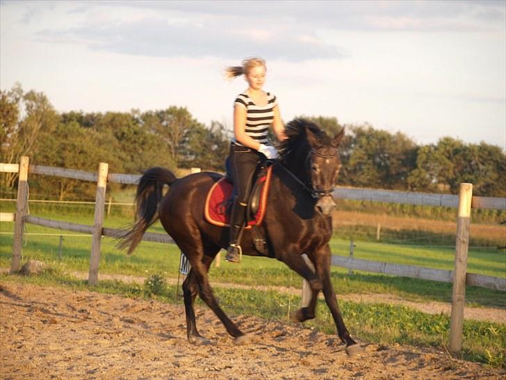 Anden særlig race Soleo (SOLGT) - 19# d. 27/8-10 <3 foto: Line Lauth :-* billede 16