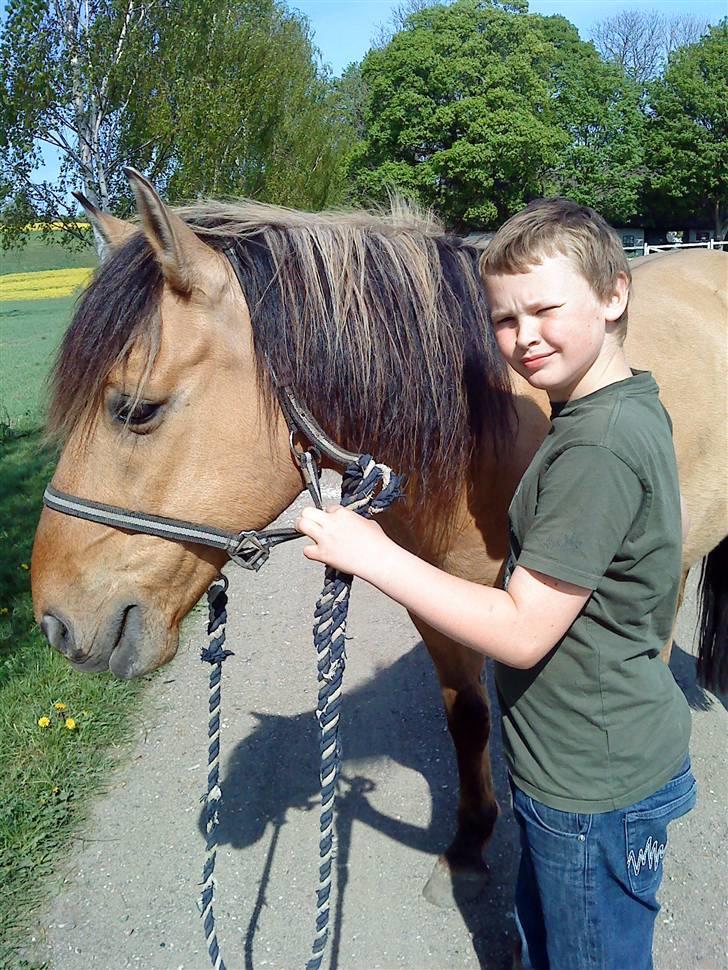 Anden særlig race Lukas SOLGT :( - Lukas Og Min LilleBror Patrick.  billede 4