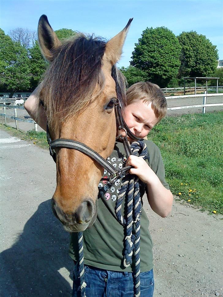 Anden særlig race Lukas SOLGT :( - Lukas Og Min LilleBror Patrick.  billede 5