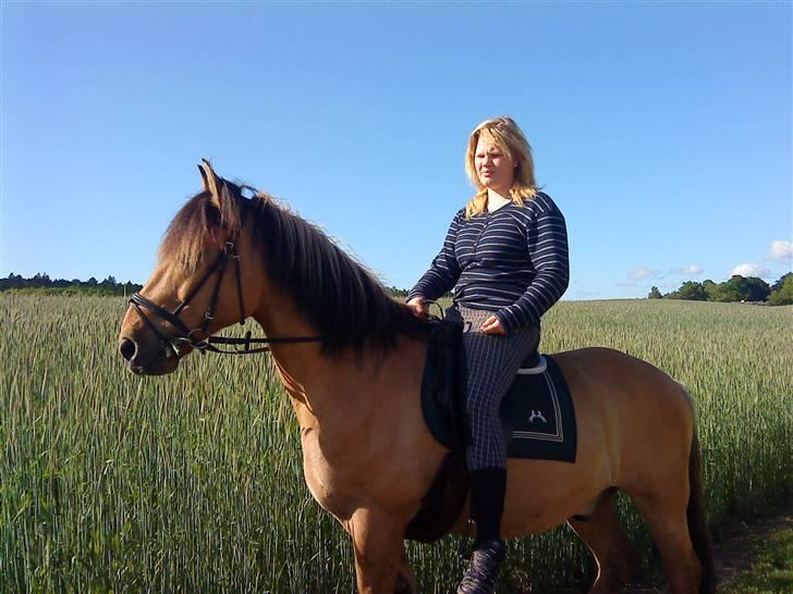 Anden særlig race Lukas SOLGT :( - Ude Og Ride En Lille Tur, Vi Havde Vidst Lige Været I skoven.  billede 11