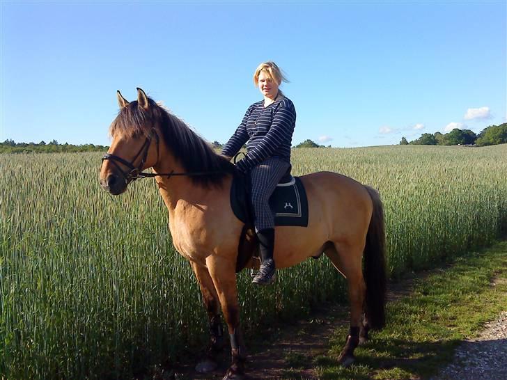 Anden særlig race Lukas SOLGT :( - Ude Og Ride En Lille Tur, Vi Havde Vidst Lige Været I skoven.  billede 12