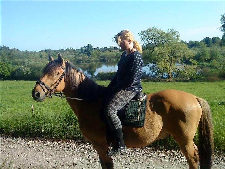 Anden særlig race Lukas SOLGT :( - Lige Været En Dejlig Lang Tur I Skoven.  billede 15