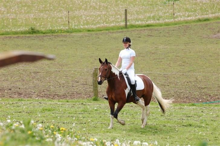 Anden særlig race BOJARD - Bojard og jeg på vej til præmieoverrækkelse for LC2 som vi vandt med 66,95% :) Foto: Lene billede 14