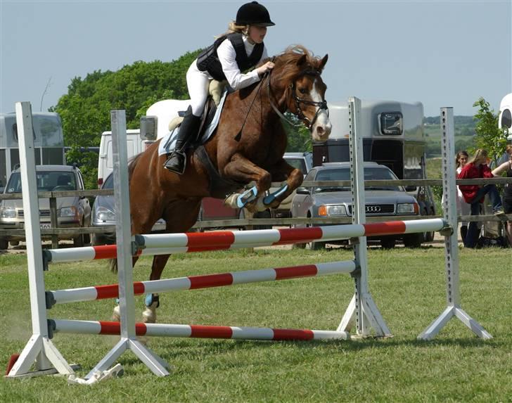Anden særlig race AN-DRO - Thorsø, La - enkel bom (; du fantastisk basse. billede 14