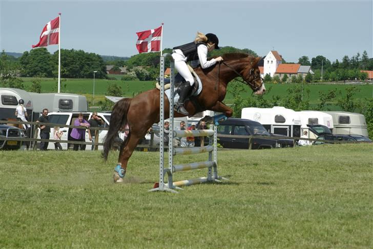 Anden særlig race AN-DRO - Thorsø, omhop La - enkel bom (; Du bedst! billede 15