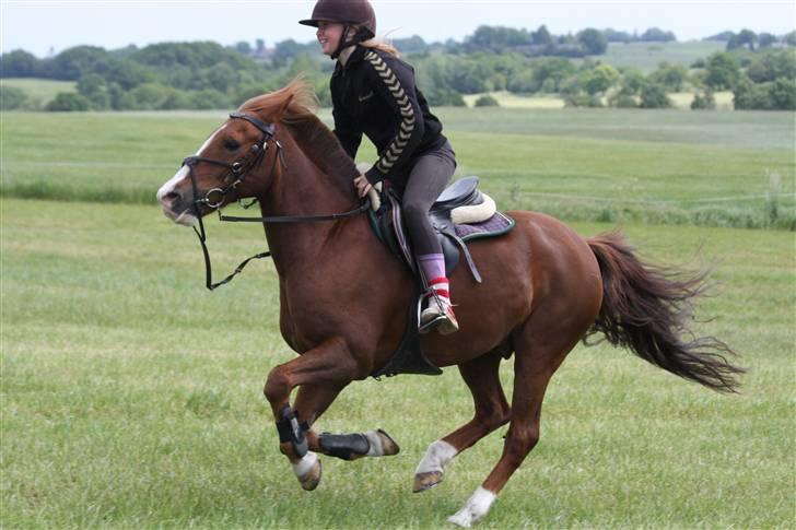 Anden særlig race AN-DRO - Afsted det gik *; billede 16