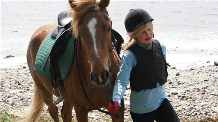 Islænder Baldur Petit - Efter en lille uenstemmelse om hvad vej man skulle gå :-( billede 1