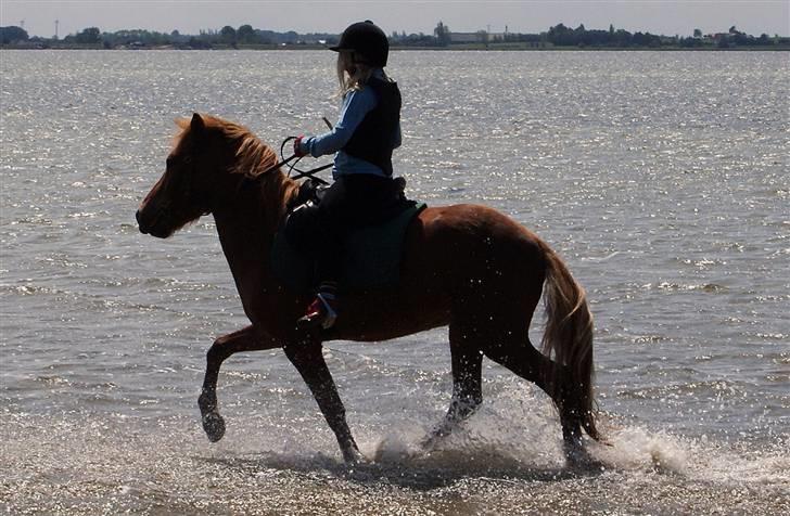 Islænder Baldur Petit - Det er nu dejligt nok at få våde ben meeen jeg skal lige overtales først.. billede 2