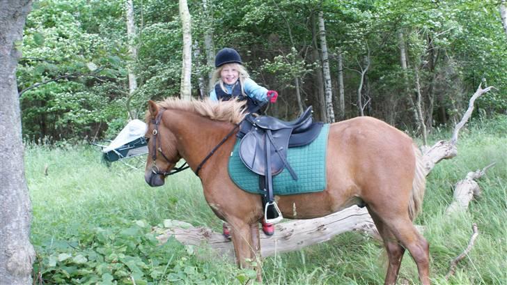 Islænder Baldur Petit - En dag skal vi springe over denne her.. hehe mor skal bare ikke være med..  billede 4