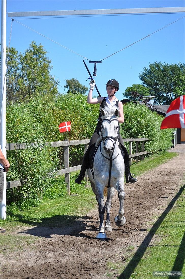 Anden særlig race | Chello Højgård | billede 19