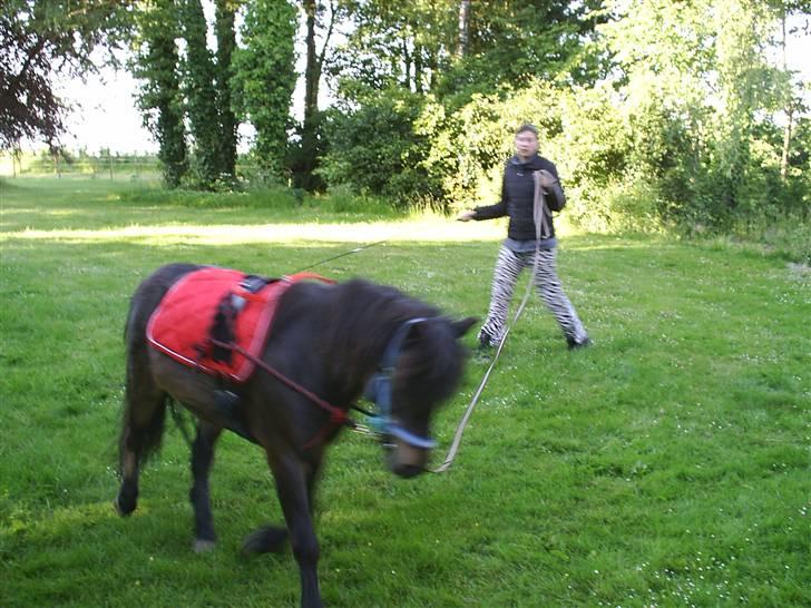 Anden særlig race Lars  billede 9