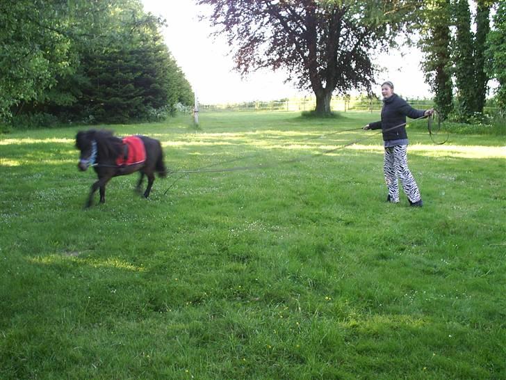 Anden særlig race Lars  billede 10