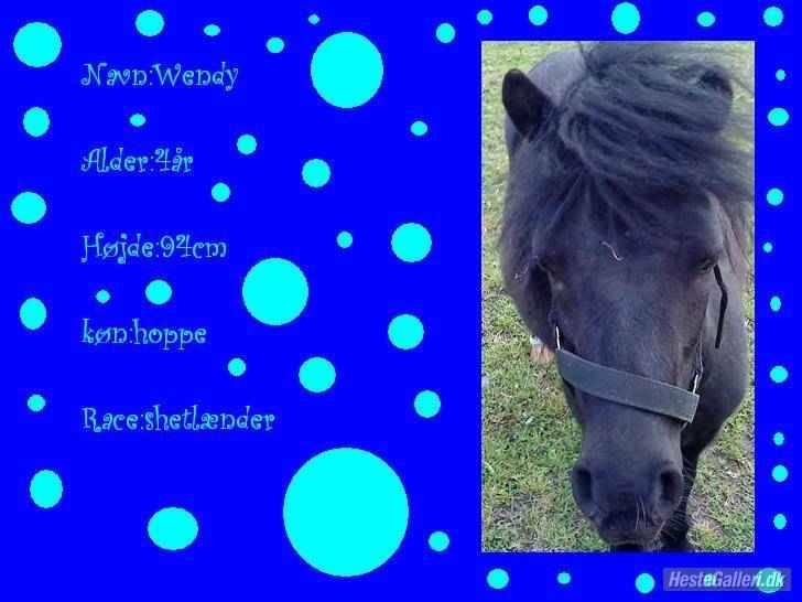 Shetlænder Wendy - Navneskilt.... billede 2