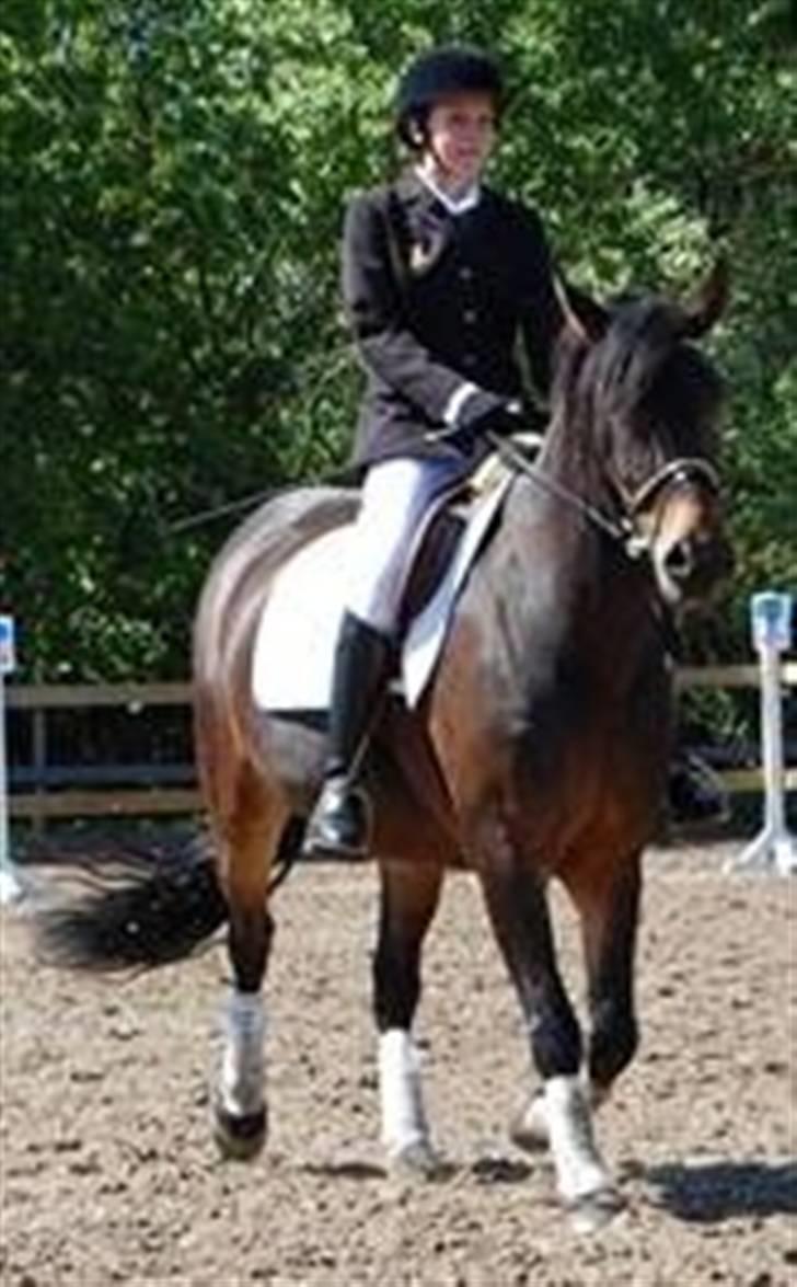 Anden særlig race Babuska ( MIN PIGE!!!) billede 10