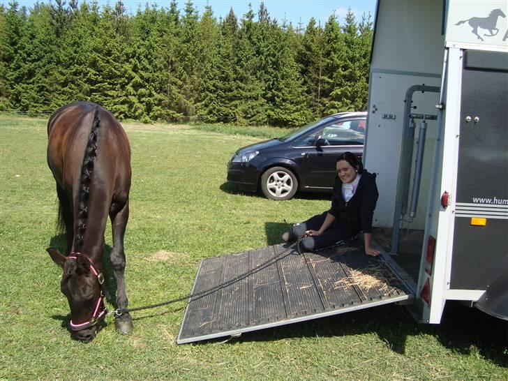 Anden særlig race Fromsmindes Effino. SOLGT - 2009 nyeste billede 19