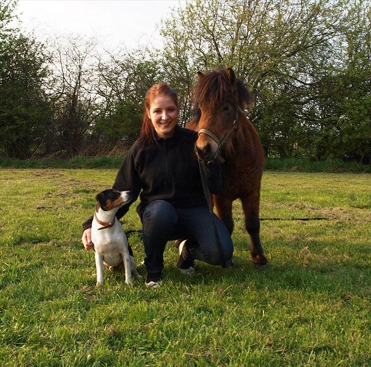 Shetlænder Stald Michas Little Matti - Påske 2011 - mine 2 drenge, Matti og Bølle :) billede 3