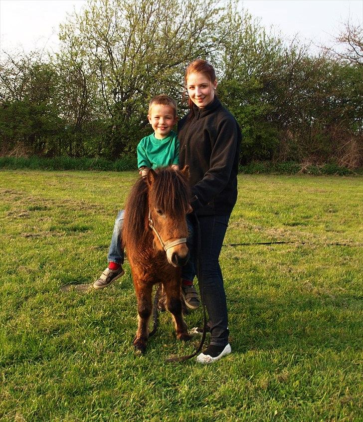 Shetlænder Stald Michas Little Matti - Påske 2011 - Mig, Matti og min lillebror Phillip :) billede 12