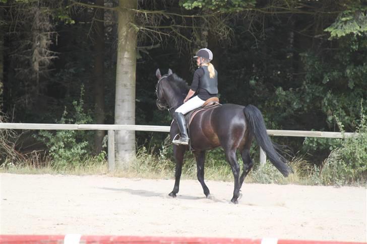 Oldenborg Lille My  - <3 billede 15