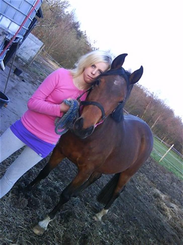 Anden særlig race zenia billede 6