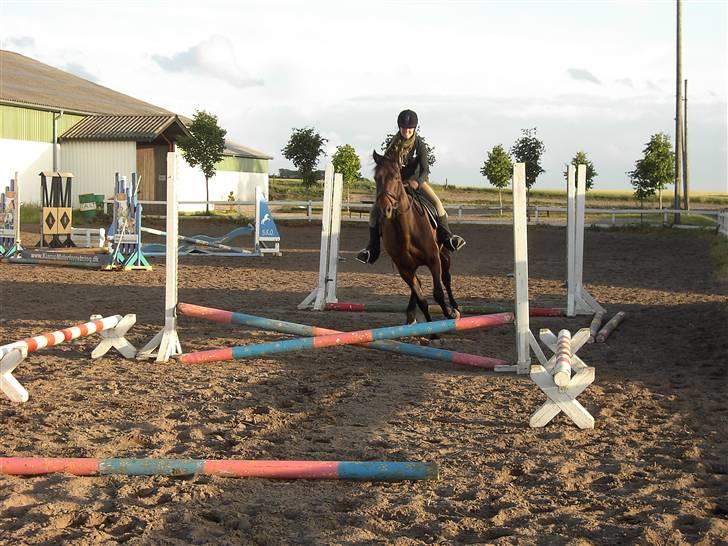 Anden særlig race Parcas SOLGT billede 2