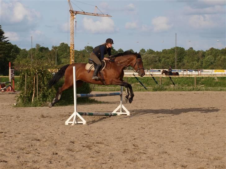 Holstener Pebbles Flyttet. miss you - Spring med Mia billede 7