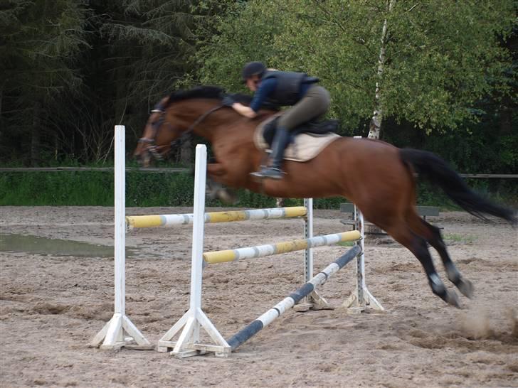 Holstener Pebbles Flyttet. miss you - Spring med Mia billede 8