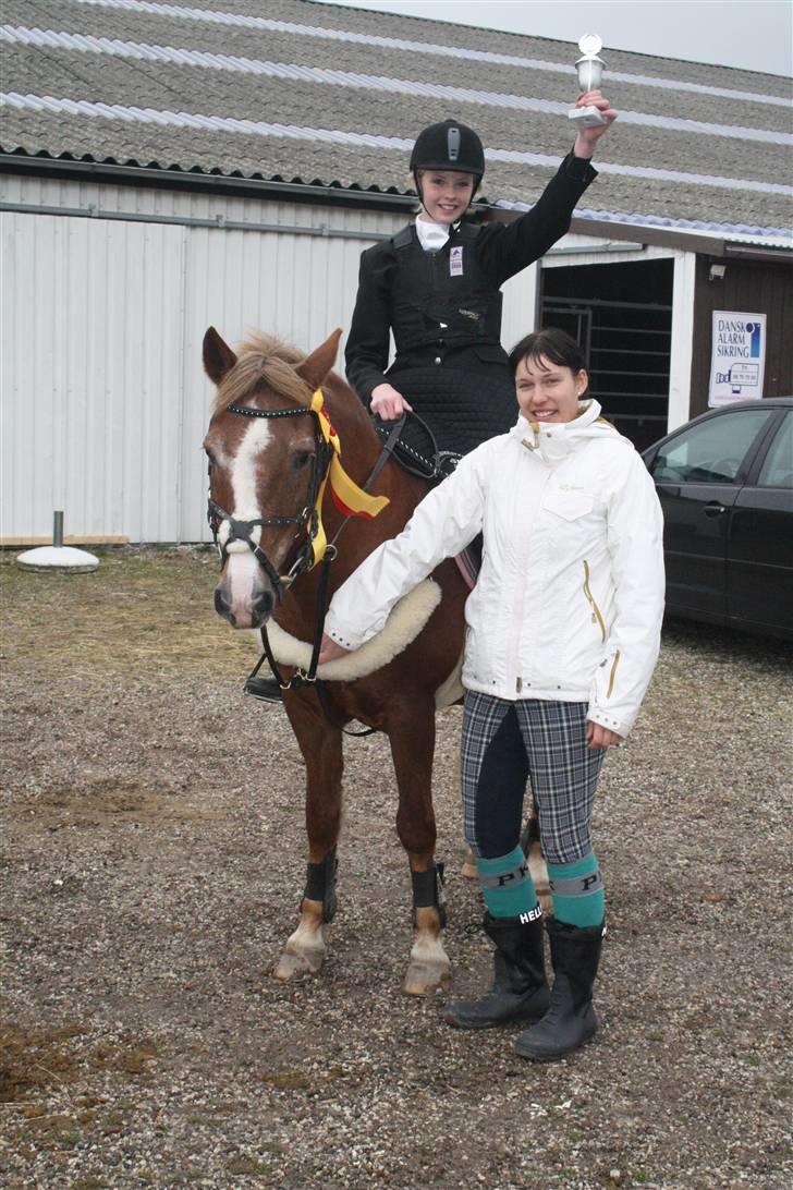 New Forest Folehaves Nathali NF136 - KLUBMESTER 2009 SPRING SRK billede 15