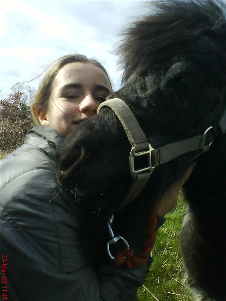 Miniature Sofie <3 *Passer* billede 2