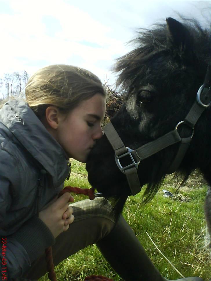 Miniature Sofie <3 *Passer* - Sofie får lige en mysser <3 :´) billede 3