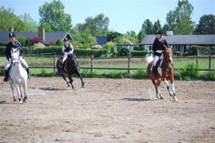 Anden særlig race Kasper (ikke mere) billede 11