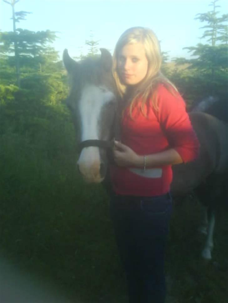 Welsh Mountain (sec A)  Samson R.I.P †<3 - mig og samson <33 du var mit alt :´/ billede 12