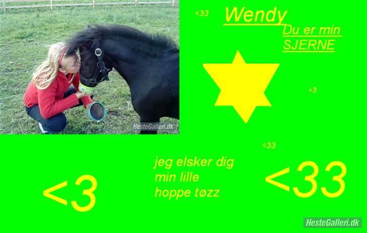 Shetlænder Wendy - wendy har selv lavet det... billede 10