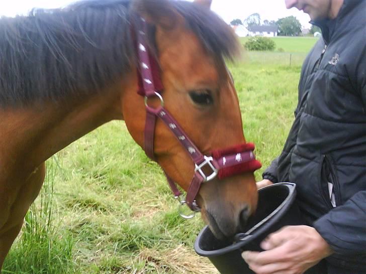 Traver Liselotte Astrup billede 16