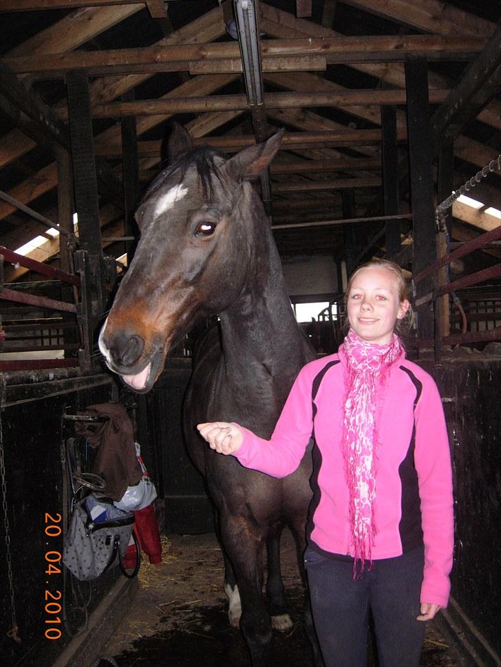 Traver Tazz <3*R.I.P.d.21/4'10* - På staldgang dagen før han sagde farvel..   billede 11