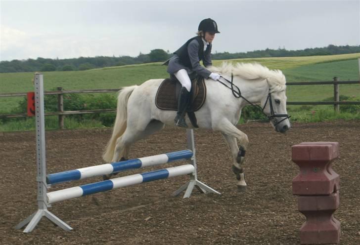 Islænder BLEIKALÁ FRA MALLE - Fordi du er en FANTASTISK pony.. <3 billede 20