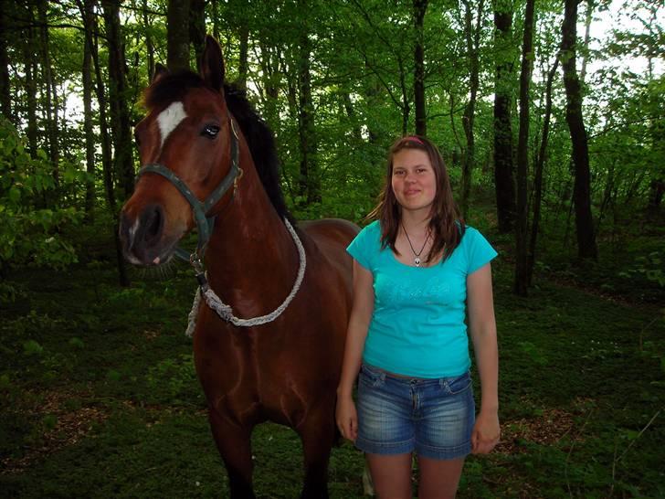 New Forest Malido - i vores gamle skov billede 14