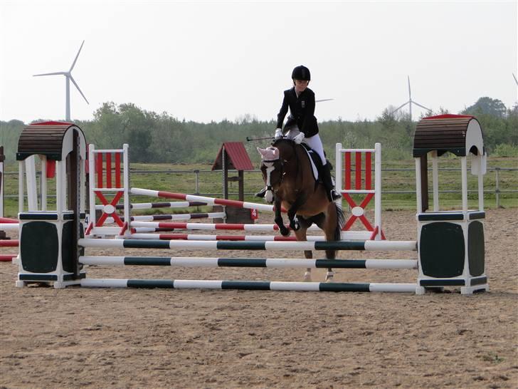 DSP Diba - Jeg og Diba på banen:) billede 7