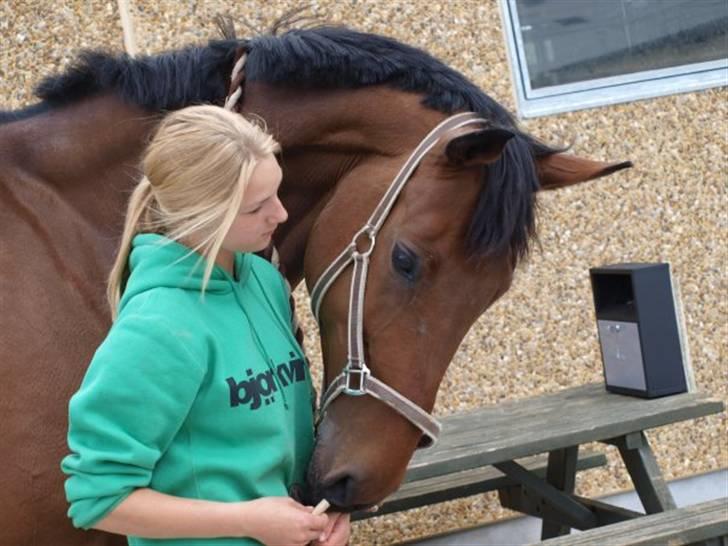 Holstener Pebbles Flyttet. miss you billede 19