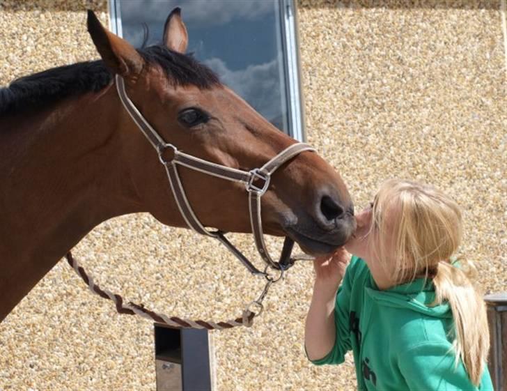 Holstener Pebbles Flyttet. miss you billede 20