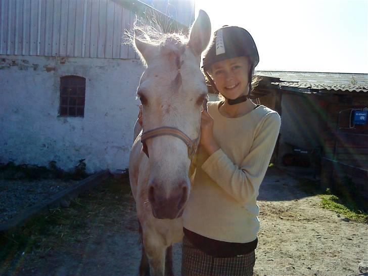 Anden særlig race bill gamel halvpart :'( - jeg er fotomodel  billede 2