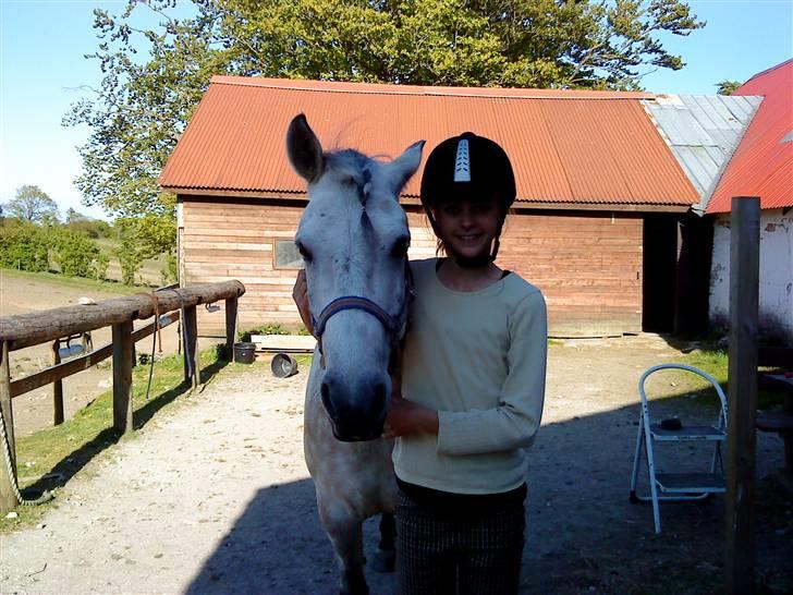 Anden særlig race bill gamel halvpart :'( - miin pony  billede 4
