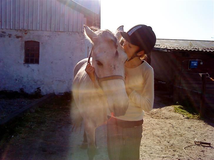 Anden særlig race bill gamel halvpart :'( - mys mys billede 10