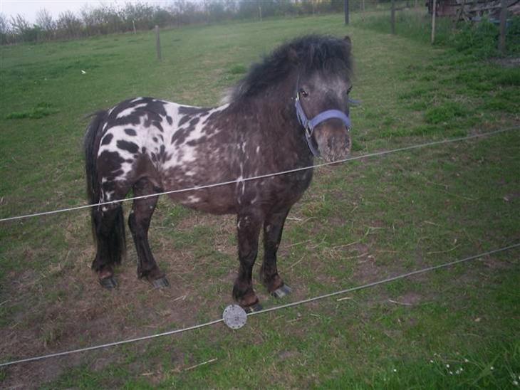 {{currentPhoto.altText}} billede {{currentPhoto.number}}